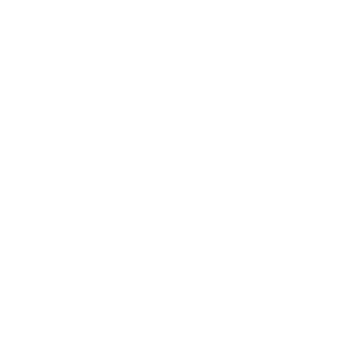 Nontokozo Mkhize Foundation logo